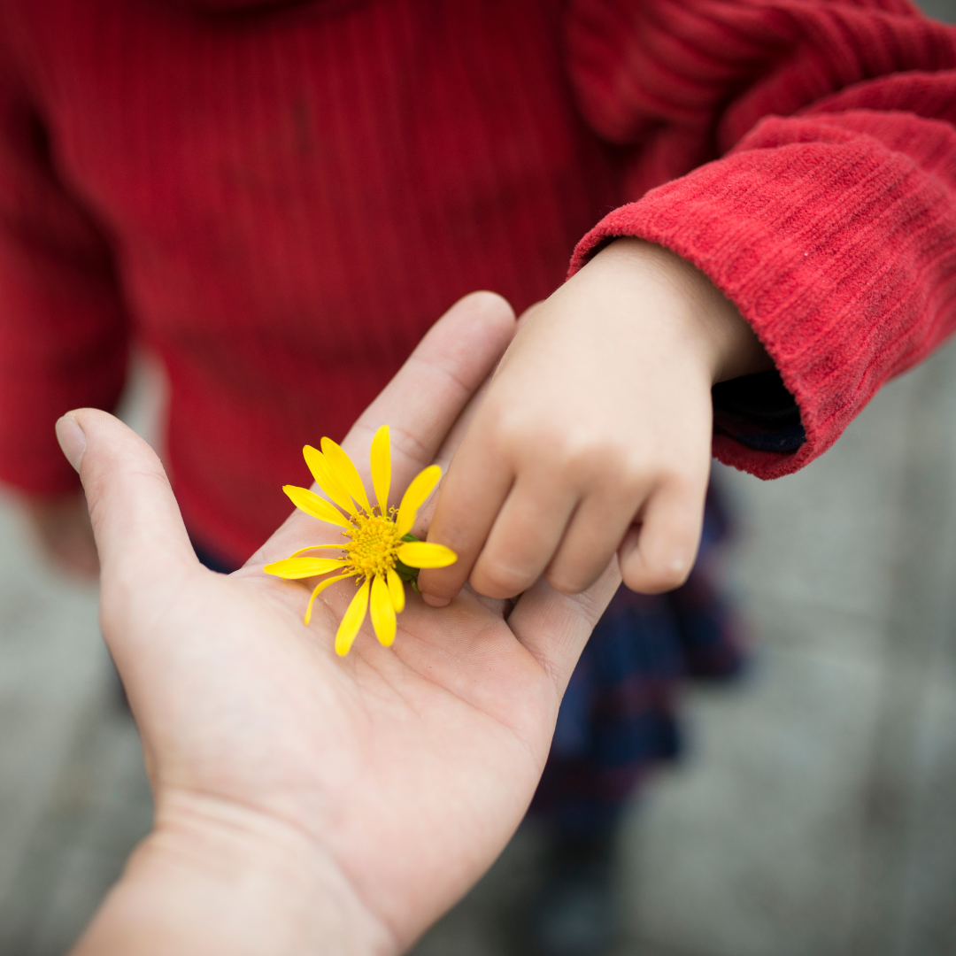 praticare la gratitudine